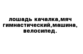 лошадь качалка,мяч гимнастический,машина, велосипед.